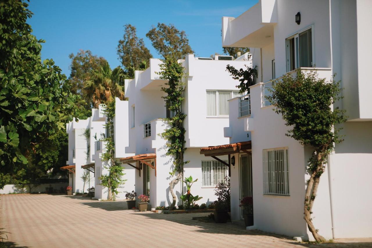 Lavinya Otel 古托克布库 外观 照片
